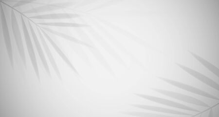 Shadow of leaf gray abstract background vector design.のイラスト素材