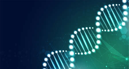 DNA digital, sequence, code structure with glow. Science concept and nano technology background. vector design.のイラスト素材