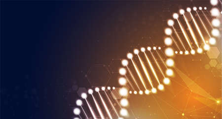 DNA digital, sequence, code structure with glow. Science concept and nano technology background. vector design.のイラスト素材