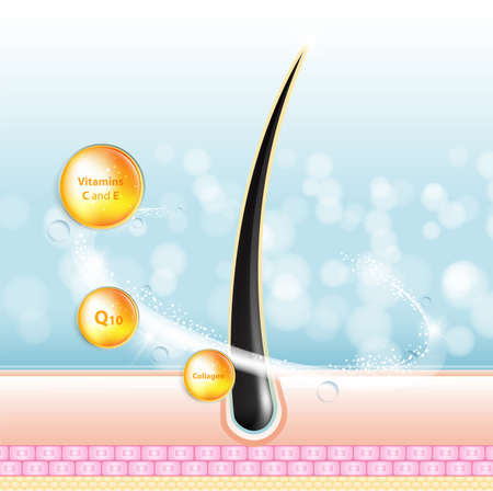 Hair care serum follicle diagnostics. Anatomy skin, medical human, epidermis layer, vector illustration design.のイラスト素材