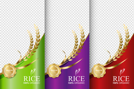Rice food or thai food, banner and poster template vector design.のイラスト素材