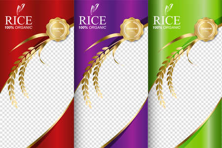 Rice food or thai food, banner and poster template vector design.のイラスト素材