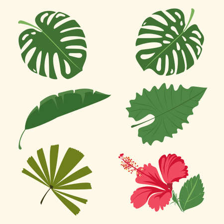 tropical leaves pattern summer. palm leaf, banana leaf, hibiscus, flowers. Jungle trees. botanical vector design.のイラスト素材