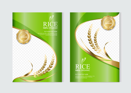 Rice food or thai food, banner and poster template vector designのイラスト素材