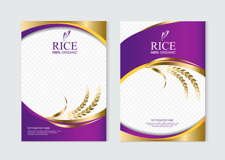 Rice food or thai food, banner and poster template vector designのイラスト素材