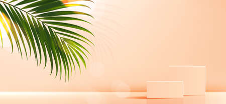 Cosmetic background for product, branding and packaging presentation. geometry form square molding on podium stage with tropical leaf background. vector design.のイラスト素材