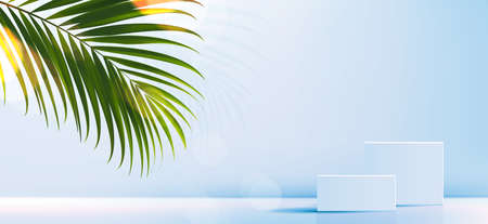 Cosmetic background for product, branding and packaging presentation. geometry form square molding on podium stage with tropical leaf background. vector design.のイラスト素材