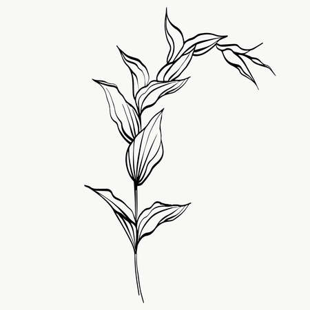 Botanical leaves line art. abstract modern or minimal plants line. perfect for home decor such as posters. vector illustrations design.のイラスト素材