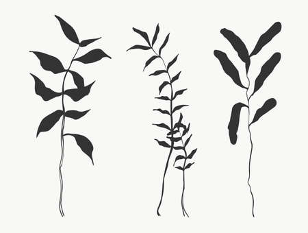 Botanical leaves line art. abstract modern or minimal plants line. perfect for home decor such as posters. vector illustrations design.のイラスト素材