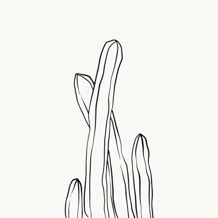 Leaves and tropical line foliage isolated on white background. vector design.のイラスト素材