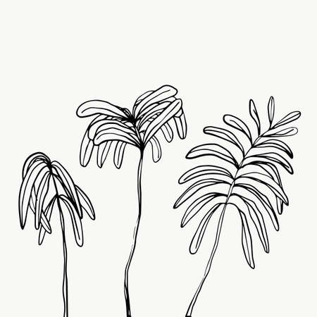 Leaves and tropical line foliage isolated on white background. vector design.のイラスト素材