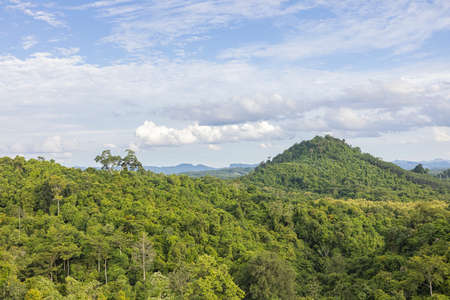 Beautiful fertile forest countryside of thailand. Sunny afternoon. Tree, sky and rolling hills....