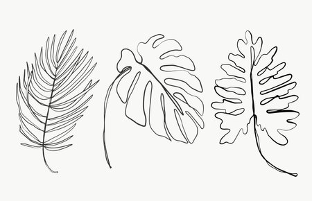 Tropical palm monstera line leaves and botanical leaves art. beautiful hand drawn exotic plants on white background. abstract modern or minimal plants line for posters. vector design.のイラスト素材