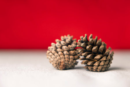 Festive Joy: Two Pine cones on a Cream-Colored Cloth, Set Against a Red Background. Capturing the...