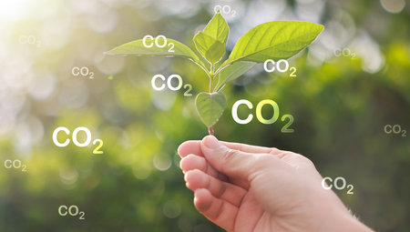 Hand holding with tree for co2, ESG and net zero. energy saving concept. save our planet, world environment day, world earth day. sustainable development and green business.の写真素材