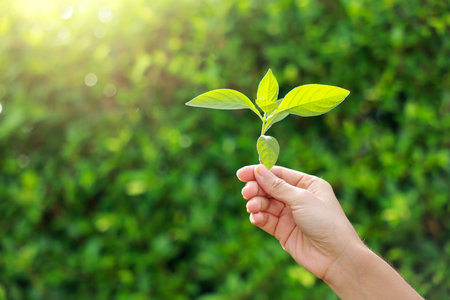 Hand holding with tree for co2, ESG and net zero. energy saving concept. save our planet, world environment day, world earth day. sustainable development and green business.の写真素材