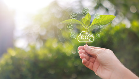 Hand holding with tree for co2, ESG and net zero. energy saving concept. save our planet, world environment day, world earth day. sustainable development and green business.の写真素材
