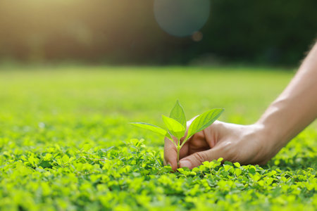 Hand holding with tree for co2, ESG and net zero. energy saving concept. save our planet, world environment day, world earth day. sustainable development and green business.の写真素材