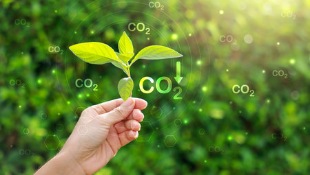 Hand holding with tree for co2, ESG and net zero. energy saving concept. save our planet, world environment day, world earth day. sustainable development and green business.の写真素材