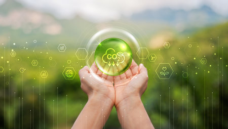 Hand holding with tree for co2, ESG and net zero. energy saving concept. save our planet, world environment day, world earth day. sustainable development and green business.の写真素材