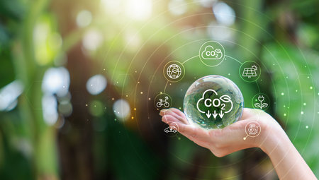 Hand holding with tree for co2, ESG and net zero. energy saving concept. save our planet, world environment day, world earth day. sustainable development and green business.の写真素材