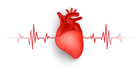 World heart day concept. stethoscope with cardio pulse line, heartbeat line, heart wave sign, health care medical check up. heart problems, coronary artery disease. vector design.のイラスト素材