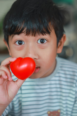 The boy smile holds a red heart in his hand to give love to everyone. concept of Love, Care, family, health, Important days, and donation. Copy space.の写真素材