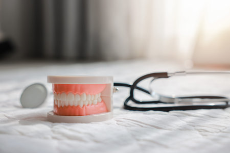 Dental plastic tooth model and stethoscope on white background with soft sunlight. Concept of dental...