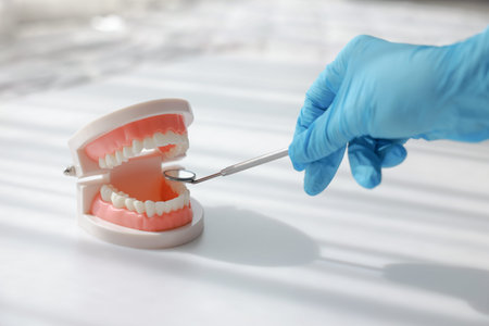 Dentist hand in blue glove holding dental mirror with tooth model on white background. Professional...