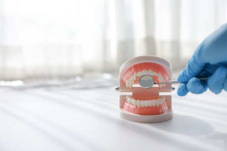 Dentist hand in blue glove holding dental mirror with tooth model on white background. Professional...