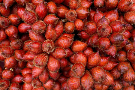 Zalacca tropical fruit in the Thai marketの写真素材