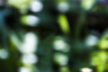 abstract colorful for backgroundの写真素材
