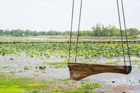 Swings made of wood and chain.There is a wooden bridge across the river and the lotus is the background.の写真素材