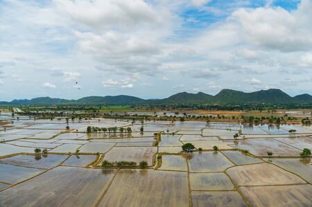 The field is foreground the mountain and the sky is background.の写真素材
