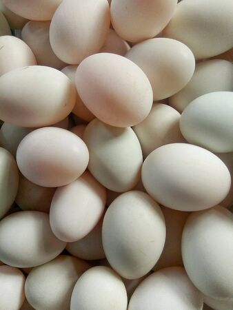 Duck eggsの素材