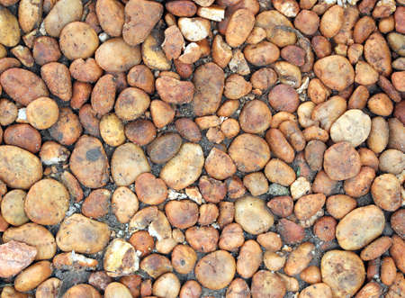 Closeup image of pebble stone walkway outdoor in the gardenの写真素材