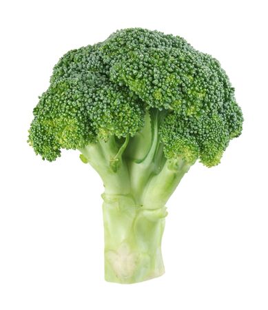 Closeup image of broccoli on white backgroundの写真素材