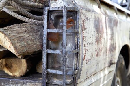 cutted tree stumps textureの写真素材