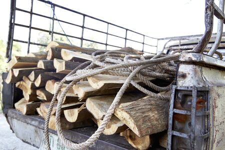 cutted tree stumps textureの写真素材