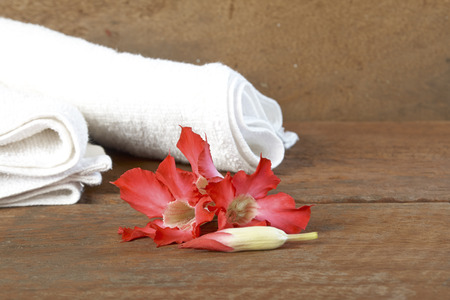 Adenium obesum your mood at rest in spa.の写真素材