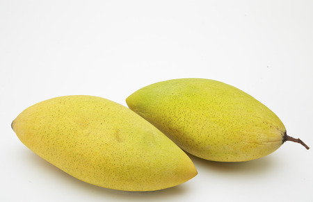 Mango on a white background.の写真素材