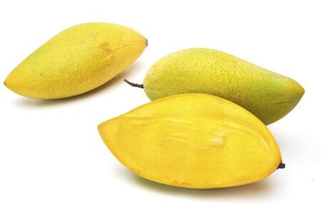 Mango on a white background.の写真素材