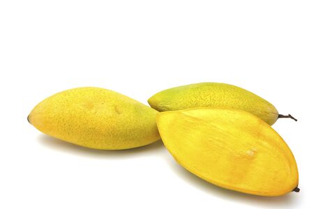 Mango on a white background.の写真素材