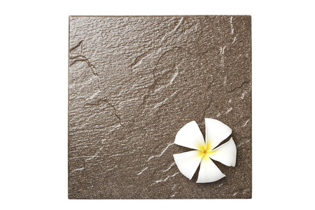 flowers on the tile-Frangipani flowers whiteの写真素材