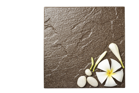 flowers on the tile-Frangipani flowers white; white stoneの写真素材