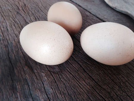 Egg on woodの素材