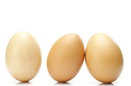 Eggs on it on a white background.の写真素材