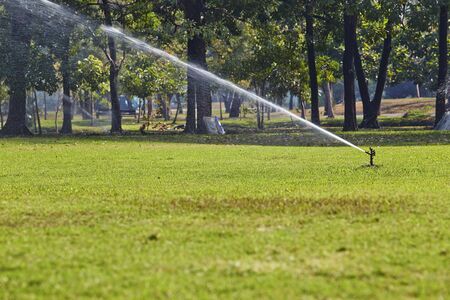 Sprinkler water in the gardenの写真素材
