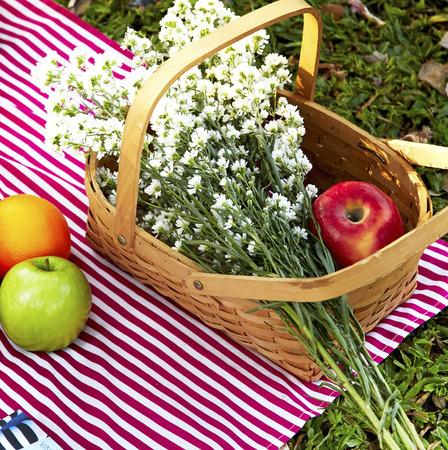Flowers in the  Picnic Basketの写真素材