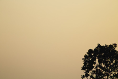 Sun sets sky cloudlessの写真素材